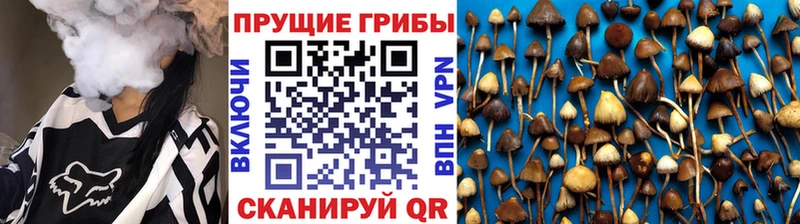 Псилоцибиновые грибы GOLDEN TEACHER  что такое   Нелидово 
